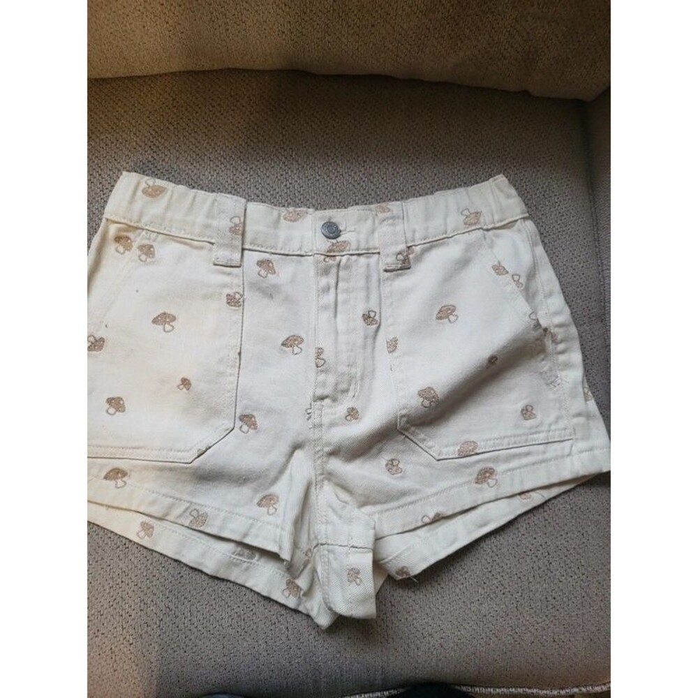 Pacsun shorts